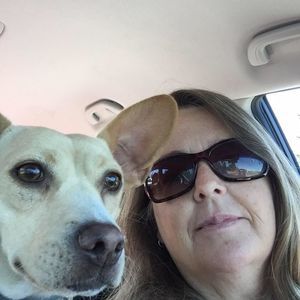 Meet your Posher, Joanne